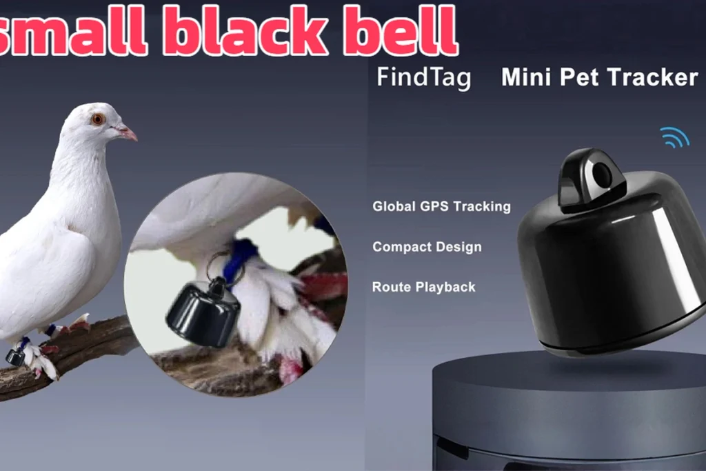 Advanced GPS pet tracker electronic product