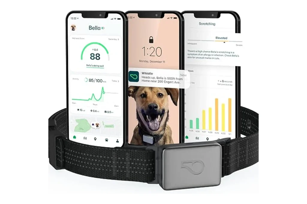 Pet activity and fitness tracker