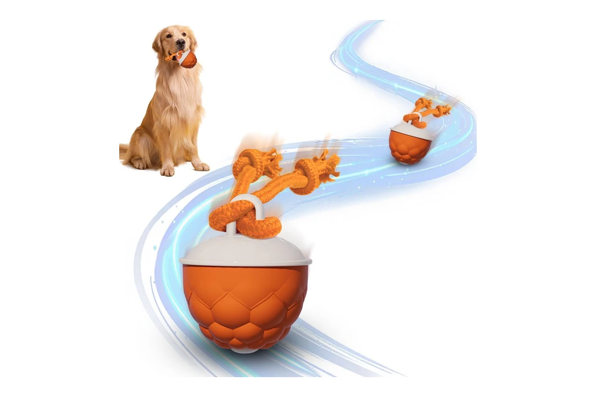 Automatic interactive pet toy