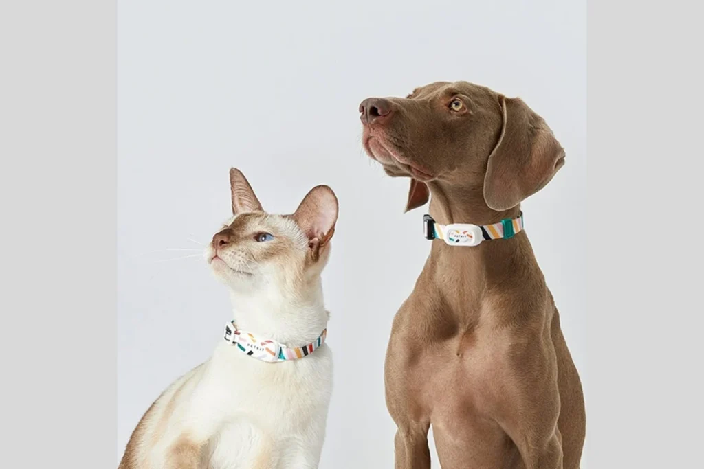 Wearable pet tracking device with GPS and activity monitoring
