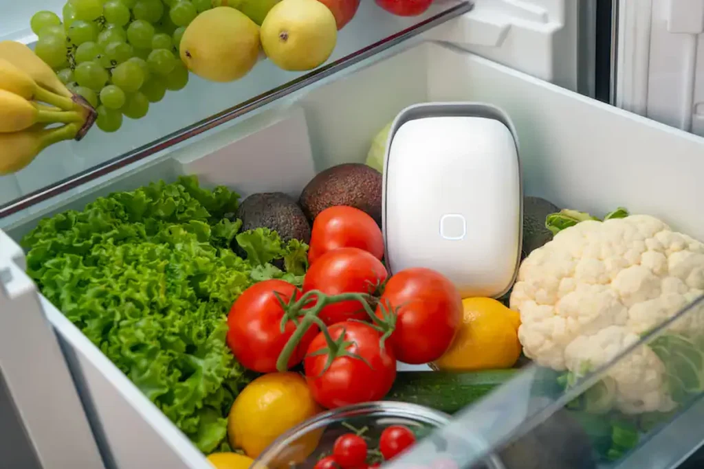 Food freshness monitoring electronic device