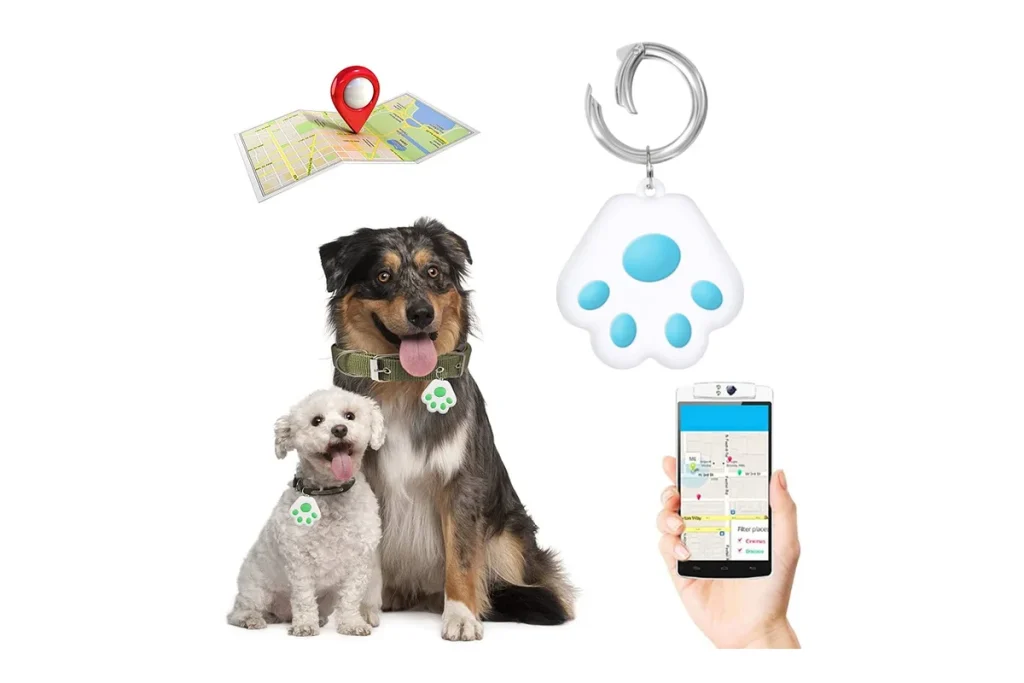 Smart pet anti-lost device