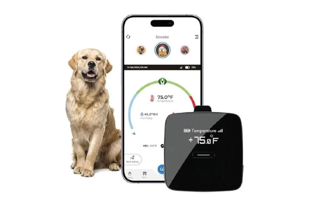 Connected pet safety monitor